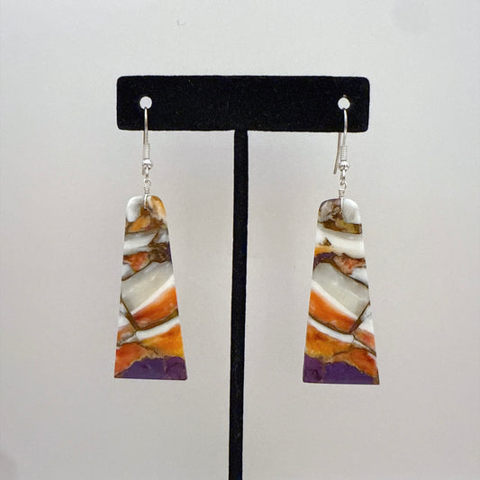 Mojave Spiny Slab Earrings