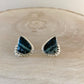 Blue Opalized Petrified Wood Earrings