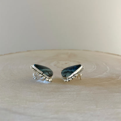 ブルーオパライズドペトリファイドウッドピアス