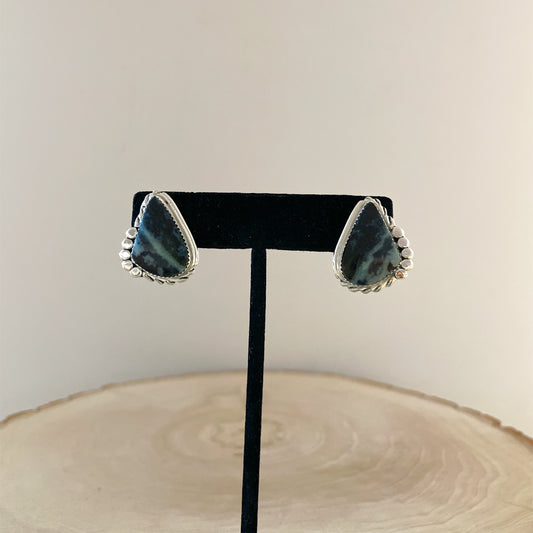 Blue Opalized Petrified Wood Earrings