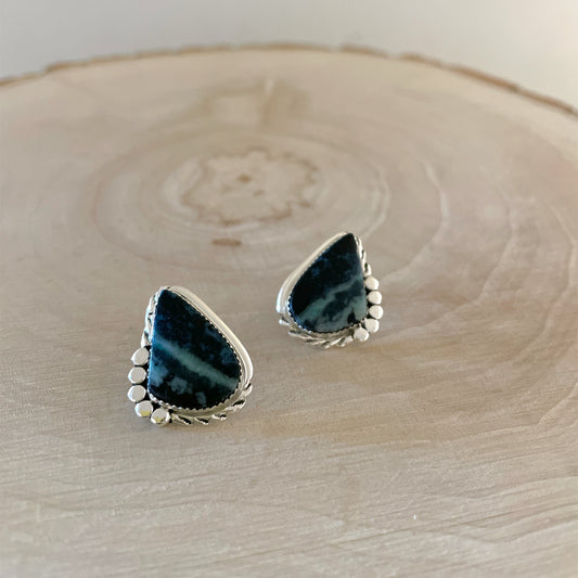 Blue Opalized Petrified Wood Earrings